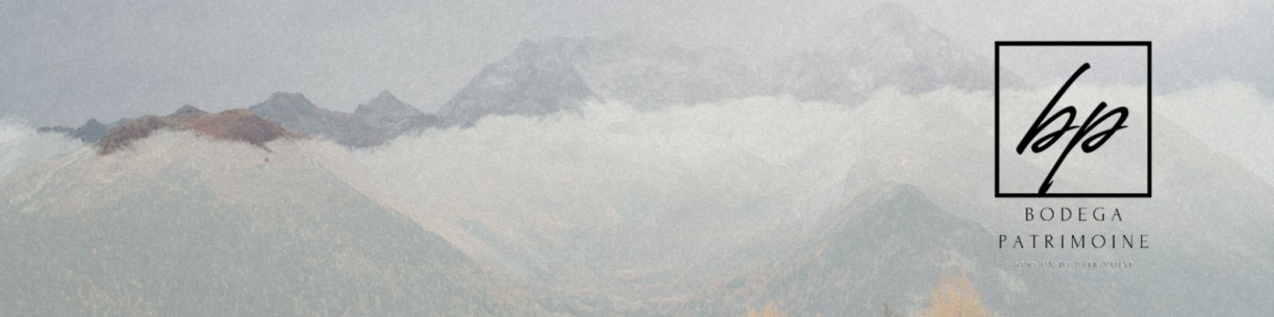 Aperçu de la couverture