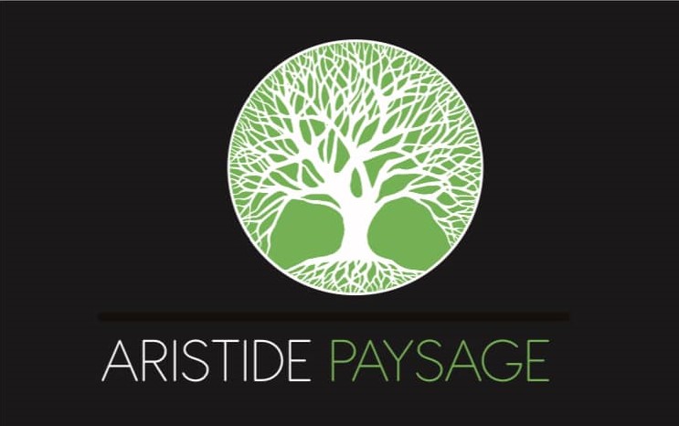 Aperçu de la couverture