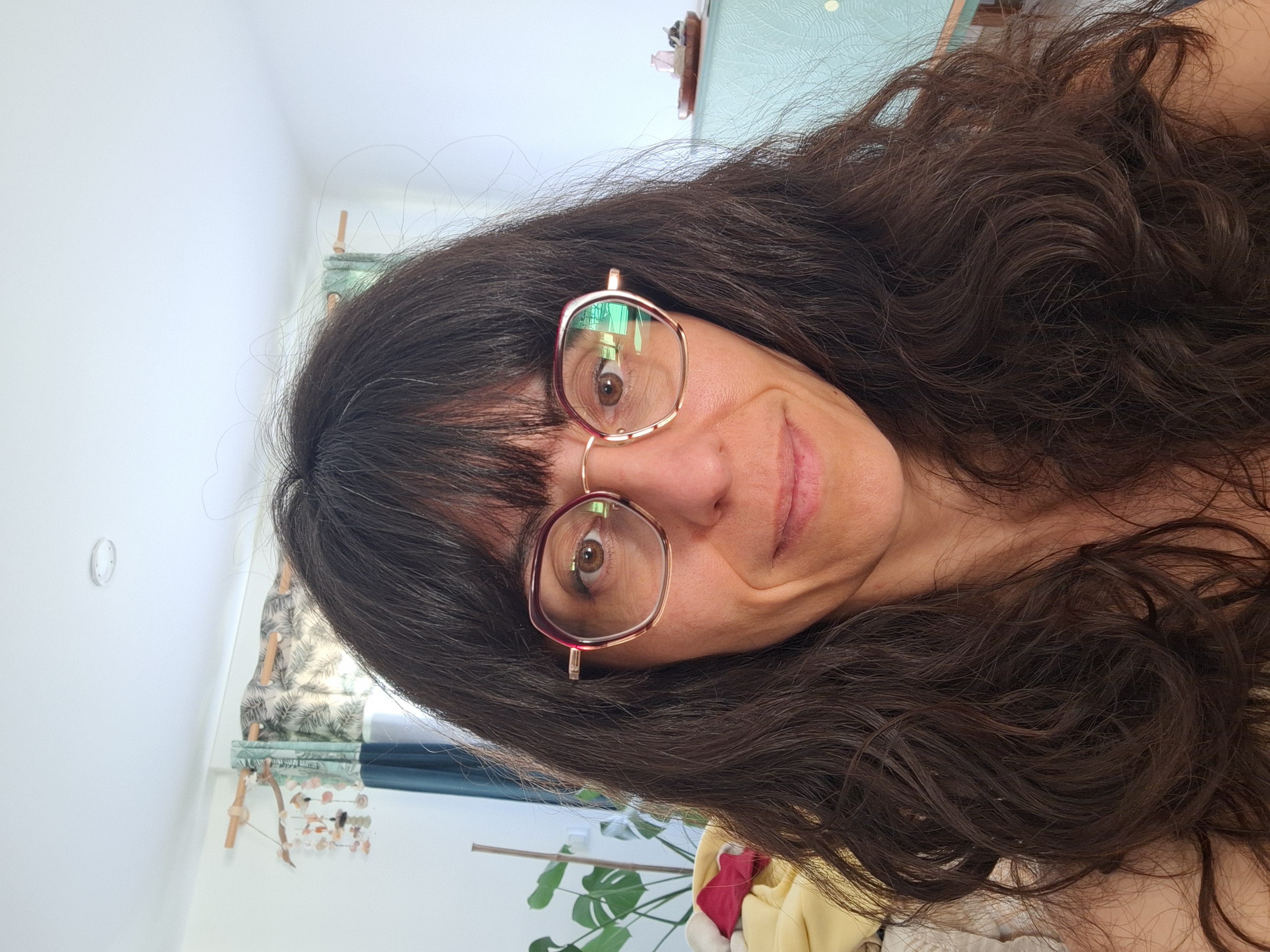 Aperçu de la couverture