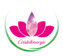 Aperçu de la couverture