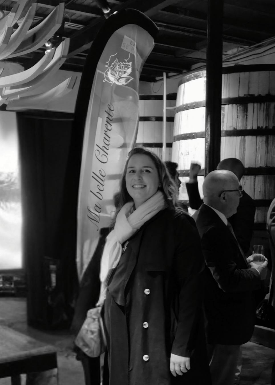 Aperçu de la couverture