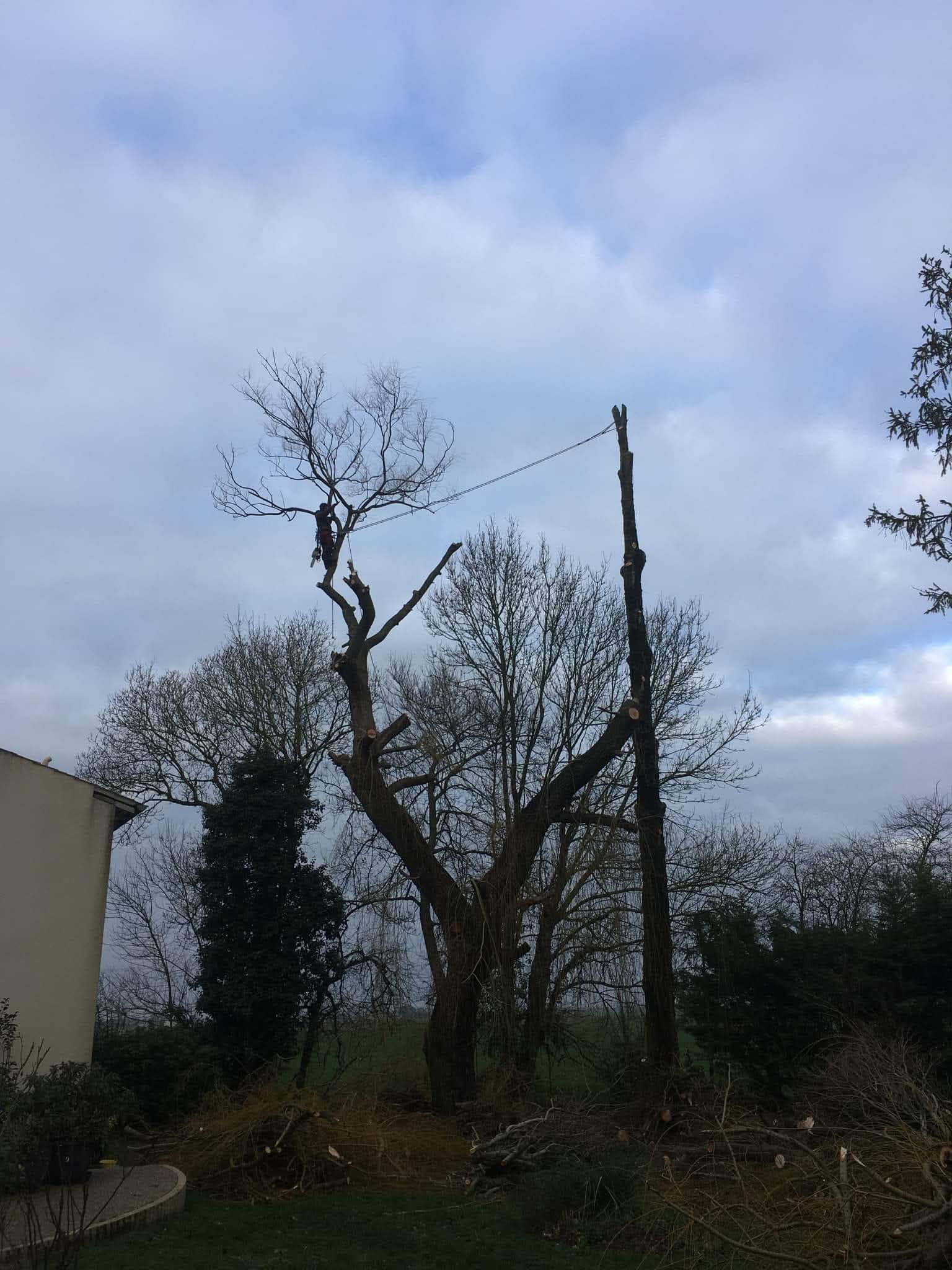 Aperçu de la couverture