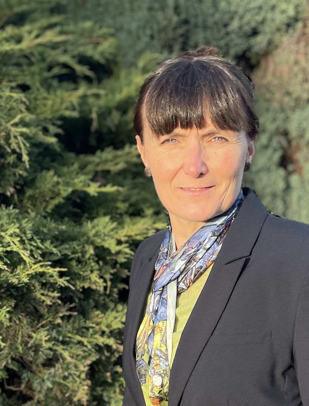 Aperçu de la couverture